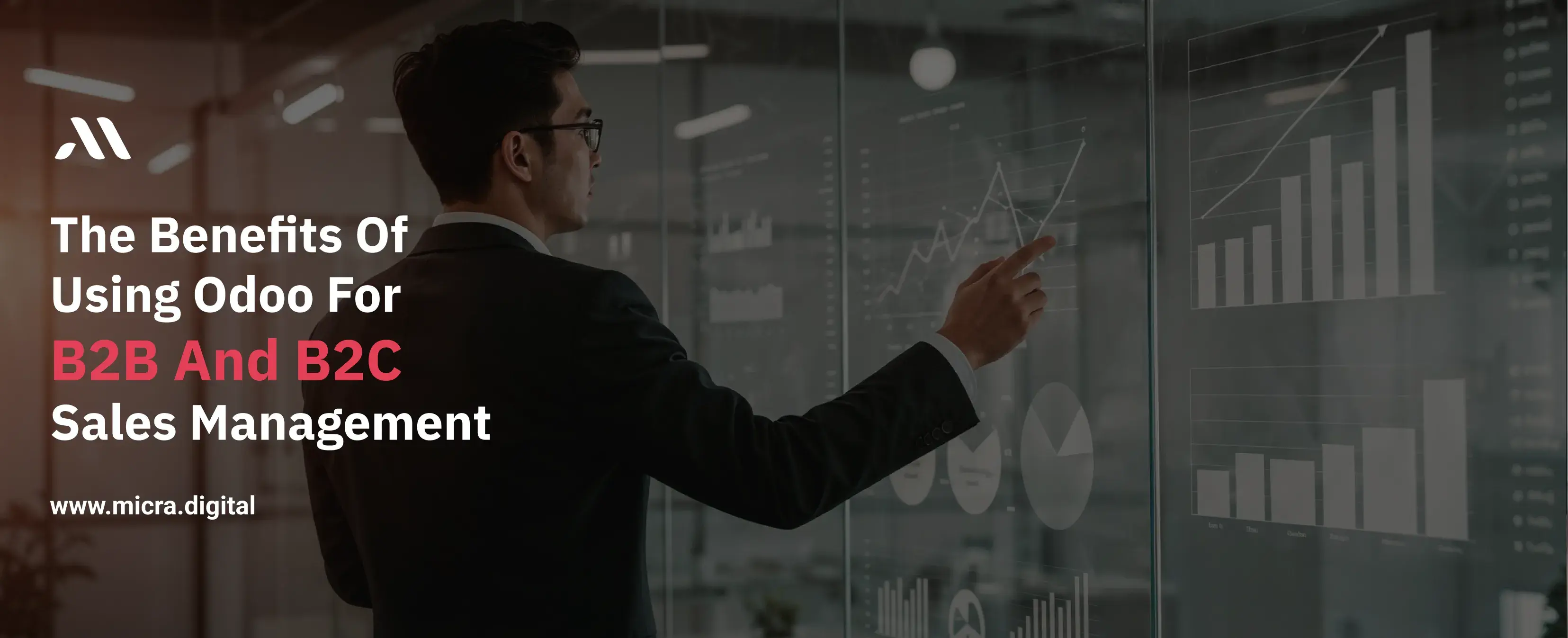 The Benefits of Using Odoo for B2B and B2C Sales Management